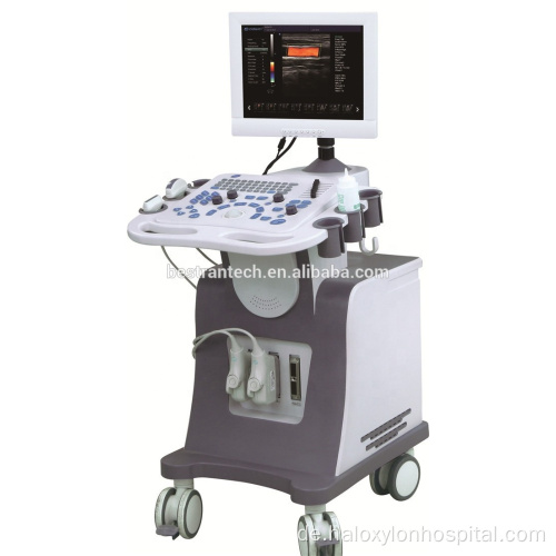 Full Digital 4D Laptop Color Doppler Ultraschallmaschine